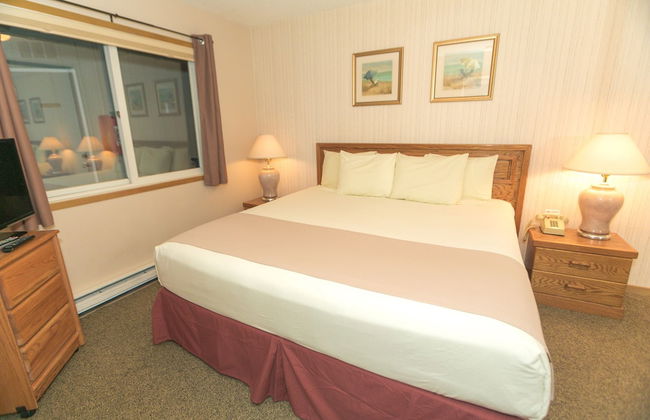 The Grey Gull - Foto 28