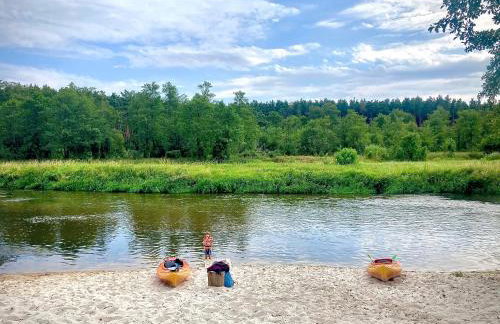 Góra Spokoju Osada klimatyczna-leśna - Foto 23