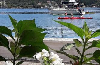 Korona Apartments - Foto 67