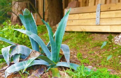 SM077 Sainte Maxime La Nartelle-Soleil d'or jusqu'à 4 pers - Foto 17