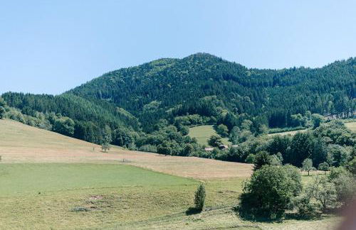 Modernes Appartment BlackForest Art 35 qm Nähe Freiburg - Foto 24