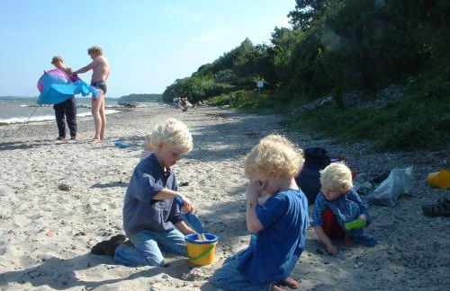 Ferienhof Gintoft - Foto 9