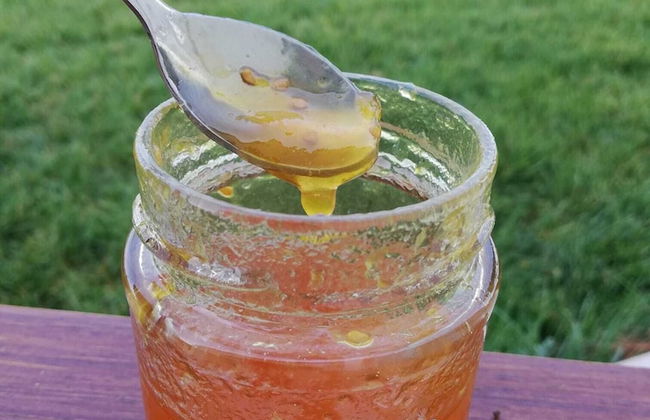 Agriturismo Masseria Cannella - Foto 27