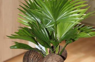 Ferienhaus Frado - Foto 11