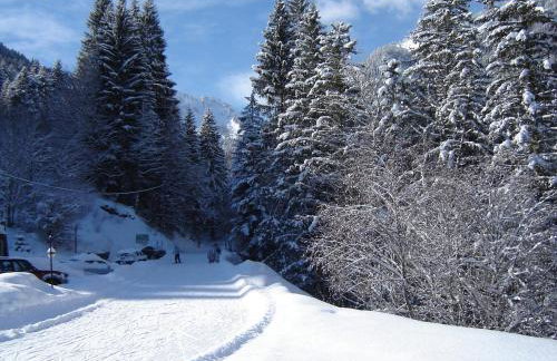 Chalet Ermena - Photo 3