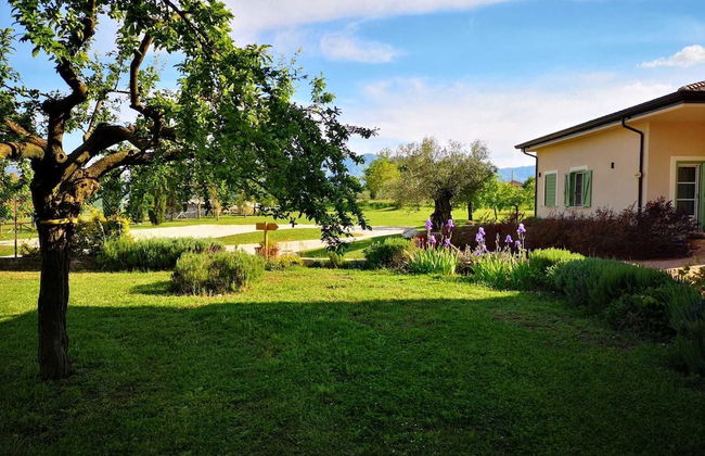 Agriturismo di charme Erbadoro - Photo 36