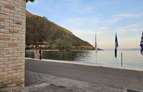 Oasis Studios AG PANTES - Photo 40