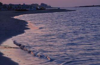 Residence Frontemare - Foto 49