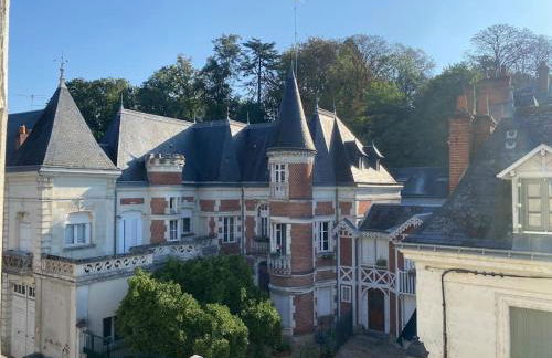 Duplex cinéma - centre historique Tours - Foto 9