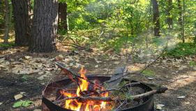 Cabin in the pines - Foto 2