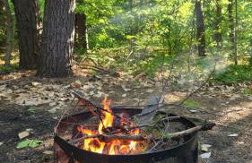 Cabin in the pines - Foto 2