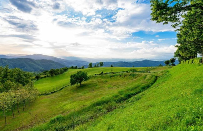 Agriturismo Poggio di Montepescoli - Il Forno - Foto 32