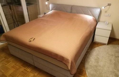 Bonsai-Apartment III An der Hufeland Therme - Foto 7