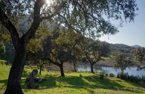 Finca La Vicaria AGUADULCE - Foto 29