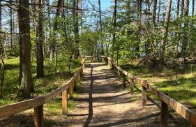 Biały domek - Photo 29