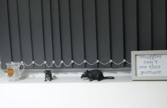 Spinners End - Photo 10