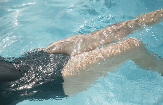 Alava Suites - Foto 48