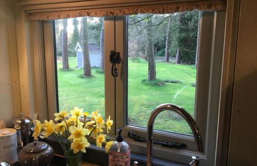 Chez Marguerite Shepherd's Hut with Private Sauna, Outside Bath - Photo 12