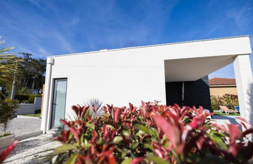 Meirinha House - Foto 26