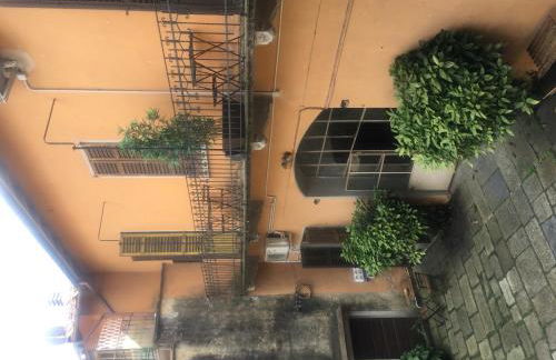 Azalea Riviera d'Orta - Foto 23