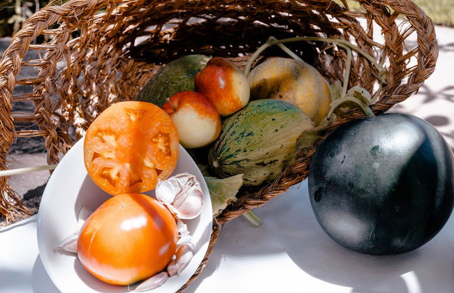 Agroturismo Can Pere Sord - Foto 72