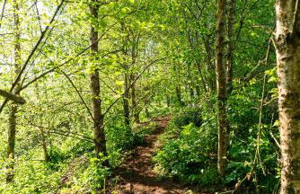 Posada Rolisas - Foto 13