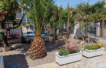 Villa Armonia - Photo 42