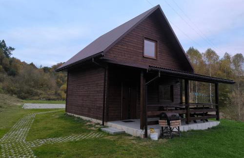 Domki Bieszczadzka Polana - Foto 45