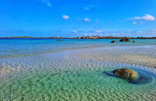 A l'abri d'un Tamaris - Foto 11