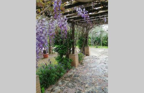 Sogno Mediterraneo Pula Sardegna villa a soli 300 mt dal mare - Foto 48