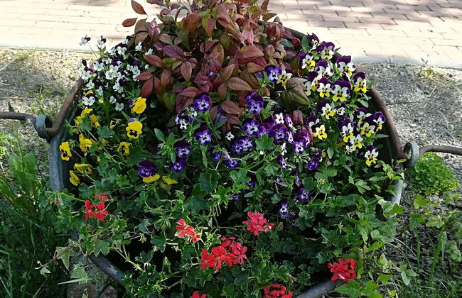 Cascina Moretta - Foto 21