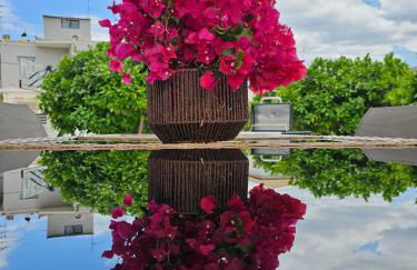 Rafaelia Premium villa with private pool in Drepano - Foto 18