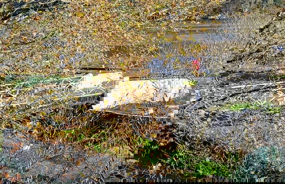 Crinan Canal Cottage - Foto 32