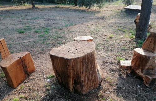 #3MTSOPRAILCIELO '' SCuLPTuRe '' - Foto 72