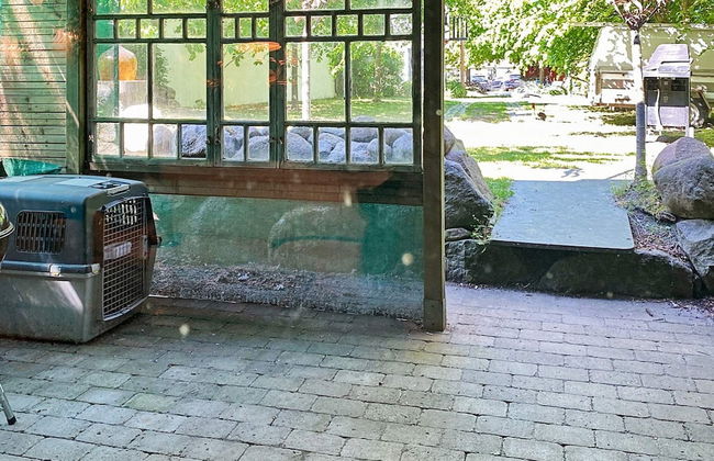 4 Person Holiday Home in Kivik - Foto 39