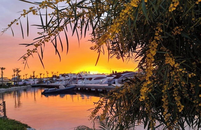 Yalikavak Natural Garden Tiny House - Foto 13