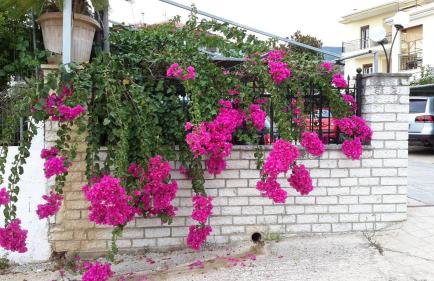 The Dandy Villas Sivota - Foto 132