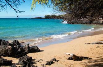 Hale Makani - Foto 34