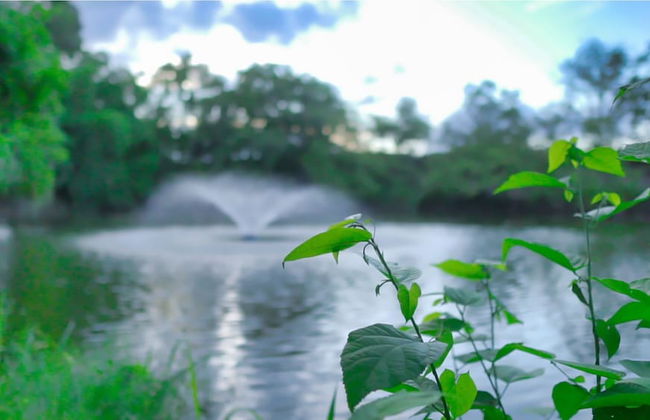 Premium Space In Santiago- 5 Min Away From Airport - Foto 46