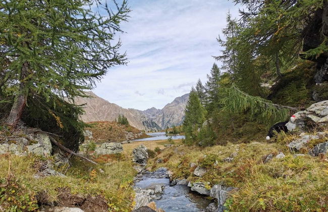 Chaletdorf Fanningberg - Foto 72