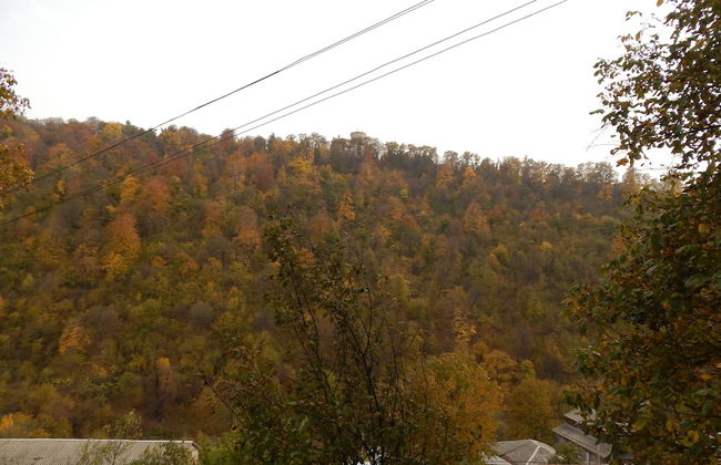 Arami Guesthouse - Photo 8