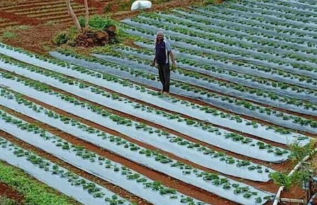 Matru Iccha Bunglow - Foto 25