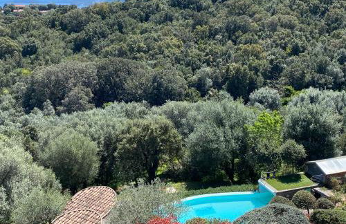 Appartement vue mer en Résidence avec piscine - Foto 27