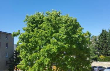 Appartement lumineux à 20mn de Paris en RER A - Foto 33
