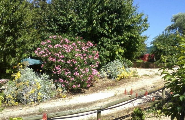 Casa Adega - Quinta Amoreira - Foto 26