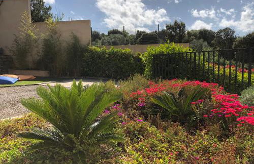 A Murella - maison de vacances à Oletta en Corse - Foto 5