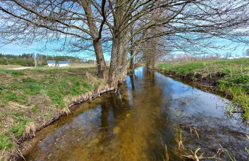 Nowa Śluza - Foto 22