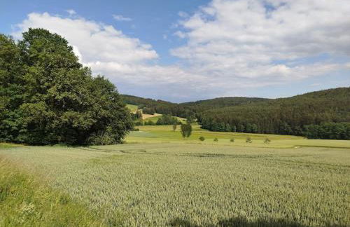 Altes Otto Haus - Foto 61