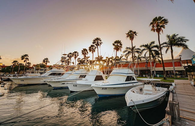 Eagle Stays Aruba - Foto 70