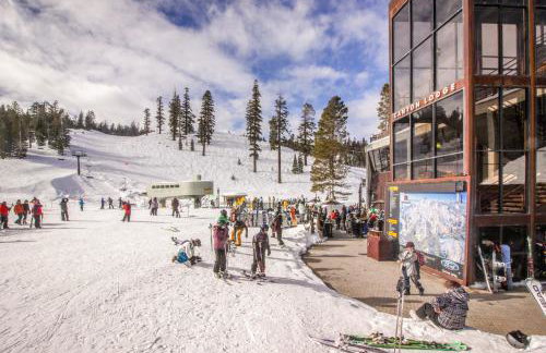 Summit 295 - Photo 7